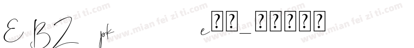 E BZ9 pk748114e字体字体转换